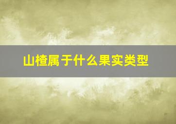 山楂属于什么果实类型