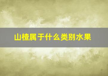 山楂属于什么类别水果