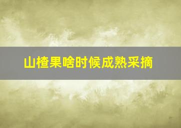 山楂果啥时候成熟采摘