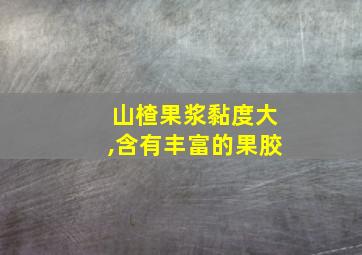 山楂果浆黏度大,含有丰富的果胶