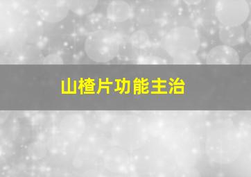 山楂片功能主治