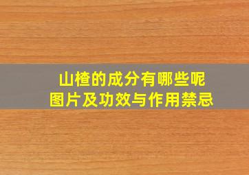 山楂的成分有哪些呢图片及功效与作用禁忌