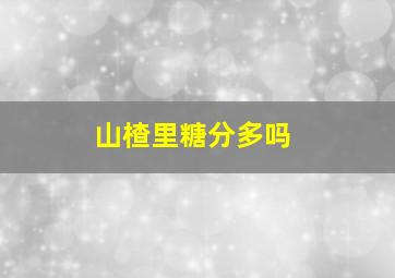 山楂里糖分多吗