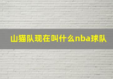 山猫队现在叫什么nba球队