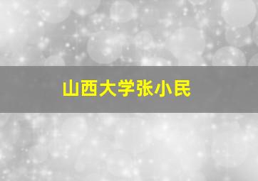 山西大学张小民