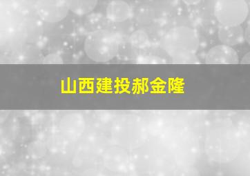 山西建投郝金隆