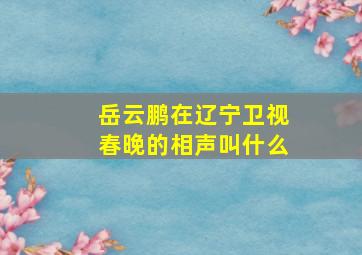 岳云鹏在辽宁卫视春晚的相声叫什么