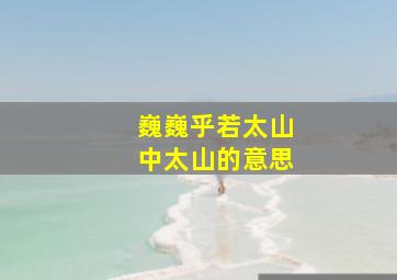 巍巍乎若太山中太山的意思