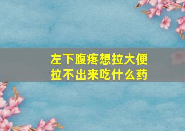 左下腹疼想拉大便拉不出来吃什么药