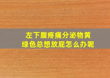 左下腹疼痛分泌物黄绿色总想放屁怎么办呢