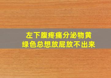 左下腹疼痛分泌物黄绿色总想放屁放不出来