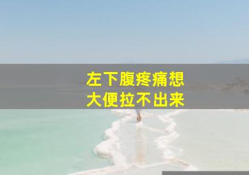 左下腹疼痛想大便拉不出来