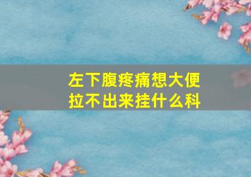 左下腹疼痛想大便拉不出来挂什么科