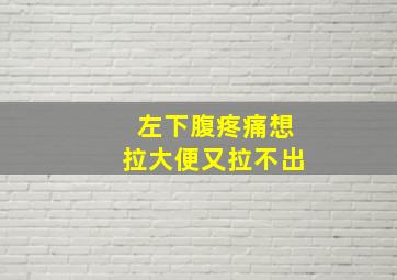 左下腹疼痛想拉大便又拉不出