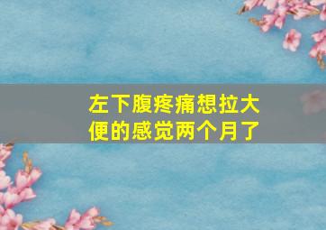 左下腹疼痛想拉大便的感觉两个月了