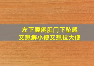 左下腹疼肛门下坠感又想解小便又想拉大便