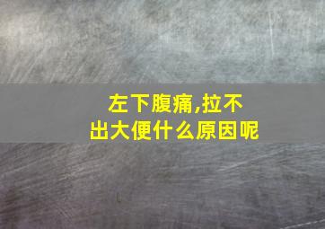 左下腹痛,拉不出大便什么原因呢