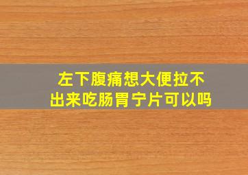 左下腹痛想大便拉不出来吃肠胃宁片可以吗