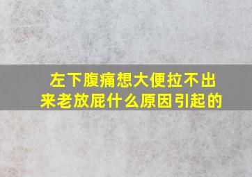 左下腹痛想大便拉不出来老放屁什么原因引起的