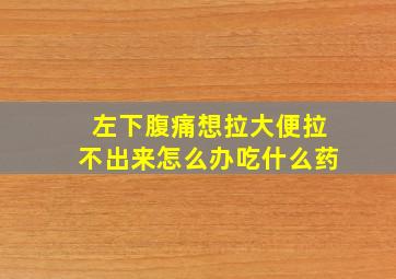 左下腹痛想拉大便拉不出来怎么办吃什么药