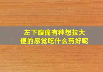 左下腹痛有种想拉大便的感觉吃什么药好呢