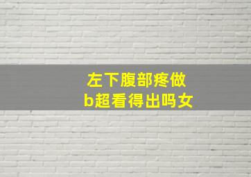 左下腹部疼做b超看得出吗女