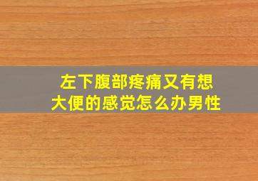 左下腹部疼痛又有想大便的感觉怎么办男性