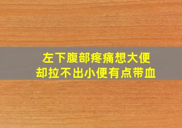 左下腹部疼痛想大便却拉不出小便有点带血