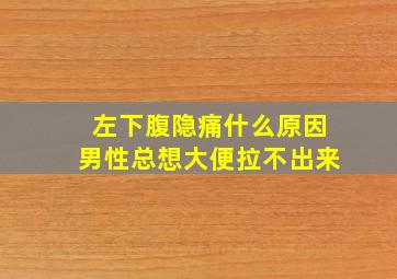 左下腹隐痛什么原因男性总想大便拉不出来