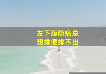 左下腹隐痛总想排便排不出