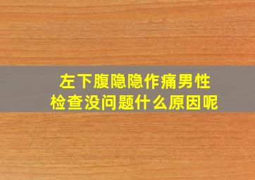 左下腹隐隐作痛男性检查没问题什么原因呢