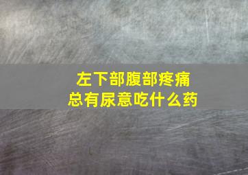 左下部腹部疼痛总有尿意吃什么药