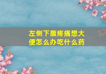 左侧下腹疼痛想大便怎么办吃什么药