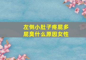 左侧小肚子疼屁多屁臭什么原因女性