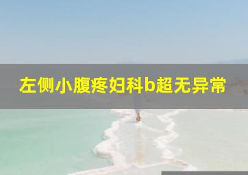 左侧小腹疼妇科b超无异常