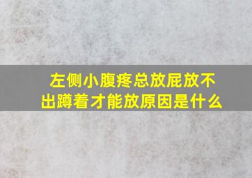 左侧小腹疼总放屁放不出蹲着才能放原因是什么