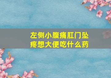 左侧小腹痛肛门坠疼想大便吃什么药