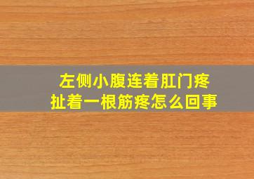 左侧小腹连着肛门疼扯着一根筋疼怎么回事