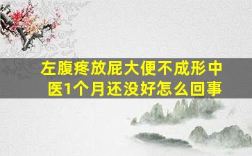 左腹疼放屁大便不成形中医1个月还没好怎么回事