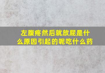 左腹疼然后就放屁是什么原因引起的呢吃什么药