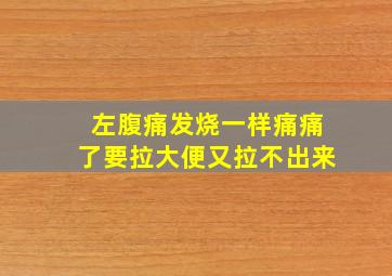 左腹痛发烧一样痛痛了要拉大便又拉不出来