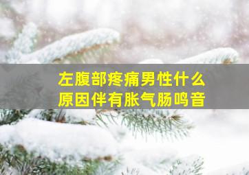 左腹部疼痛男性什么原因伴有胀气肠鸣音