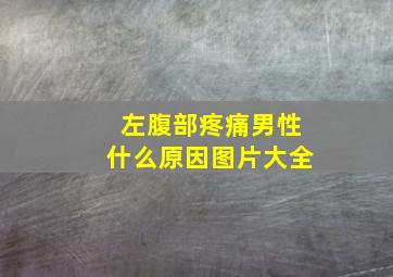 左腹部疼痛男性什么原因图片大全