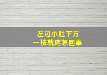 左边小肚下方一按就疼怎回事