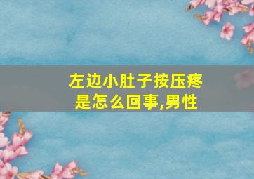 左边小肚子按压疼是怎么回事,男性