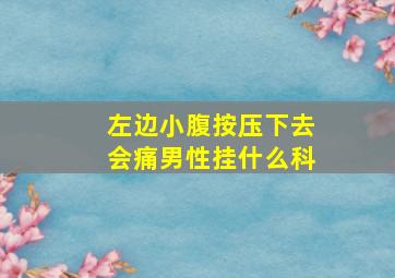 左边小腹按压下去会痛男性挂什么科