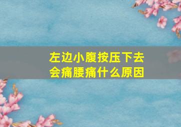 左边小腹按压下去会痛腰痛什么原因