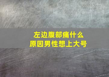 左边腹部痛什么原因男性想上大号