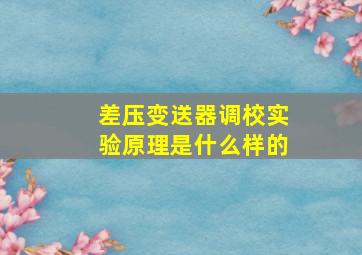 差压变送器调校实验原理是什么样的