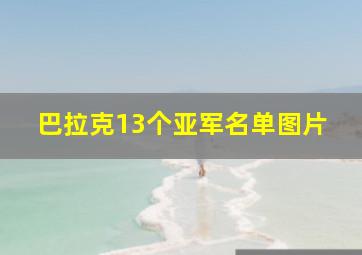 巴拉克13个亚军名单图片